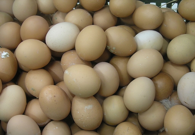 ��Ӧ����������